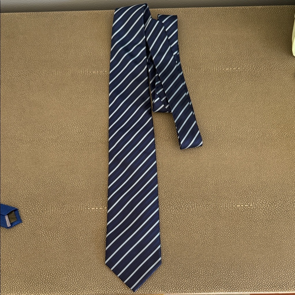 Renoir Navy and White Diagonal Striped Tie